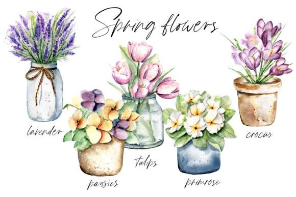 Flowers in Pots, Watercolor Drawn: Artistry for Designers