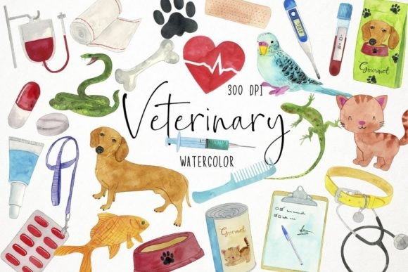 Watercolor Veterinary Clipart: Hand-Painted Elements for Your Projects